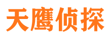 大余市侦探公司